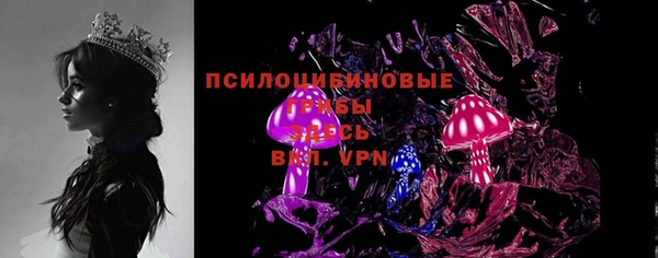 соль курить ск Бородино