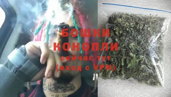 гидра Бронницы