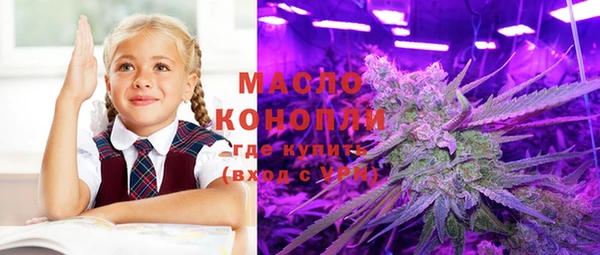 гидра Бронницы