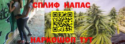 хмурый Краснодар