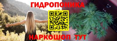 дмт Абинск