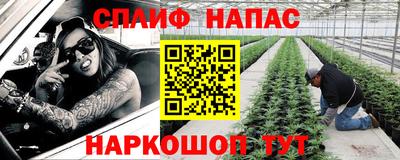 гидра Краснокаменск