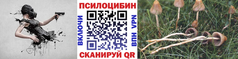 Галлюциногенные грибы Cubensis Валуйки