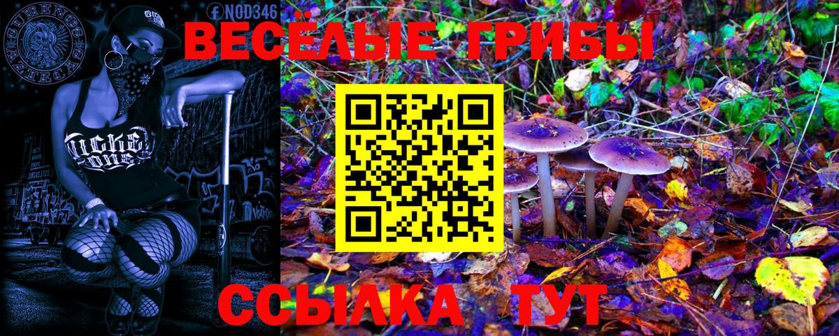 Галлюциногенные грибы Psilocybine cubensis Валуйки
