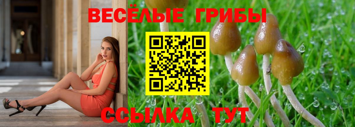 Валуйки  Псилоцибиновые грибы Cubensis  купить  цена  Вход с VPN 